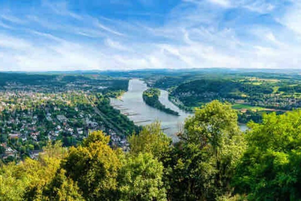 Ferienwohnung In Rheinnaehe Rheinbreitbach Exterior foto