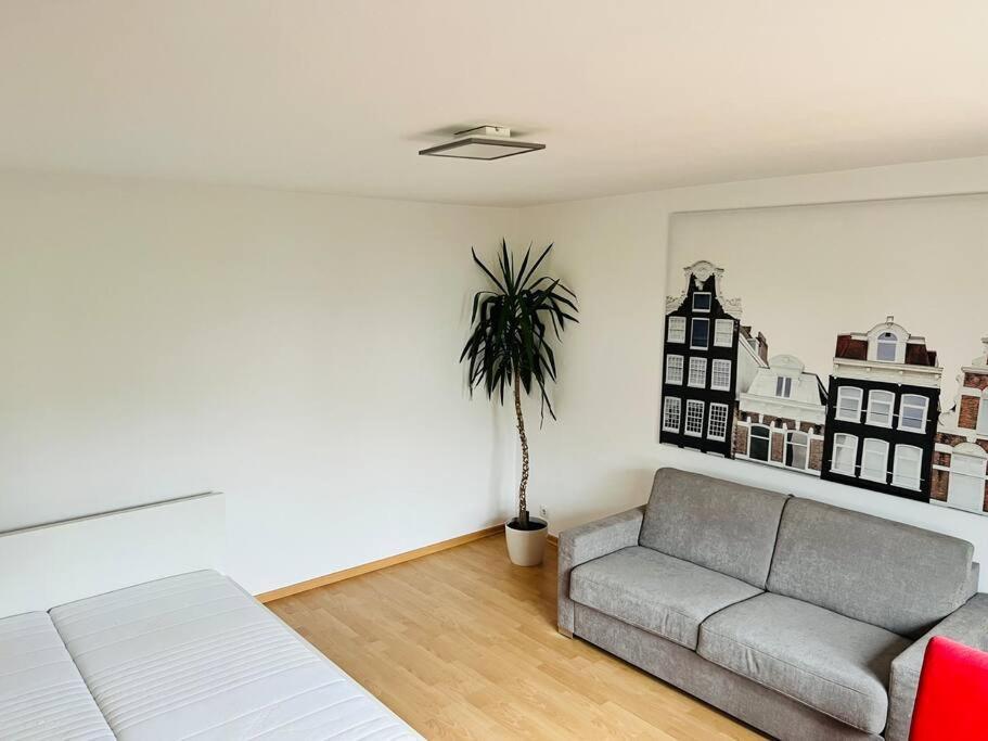 Ferienwohnung In Rheinnaehe Rheinbreitbach Exterior foto